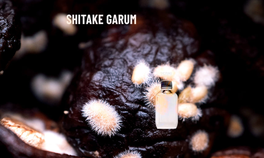 SHITAKE MUSHROOM GARUM