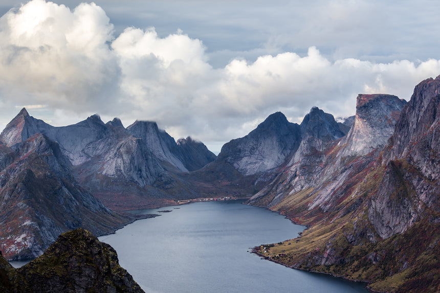 SCANDINAVIAN INGREDIENTS